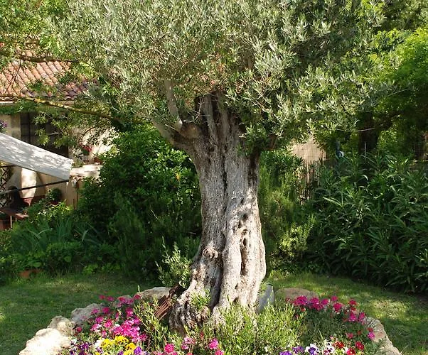 Alojamento de Acomodação e Pequeno-almoço Domaine à L'aise - Piscine Chauffée Plaissan